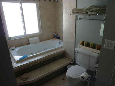 Guest Bath